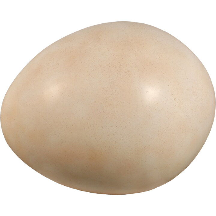 楽天市場 Frp恐竜オブジェ 恐竜のタマゴ100cm 置物 肉食恐竜 獣脚類 卵 玉子 たまご 標本 博物館 店舗 イベント ディスプレイ 実物大 等身大 リアル 等身大フィギュア Whlny 通販ショップcaruna