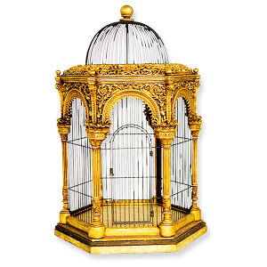 FRPIuWF K鍑̒u  JS X Cxg fBXvC  g A ywhlnyz