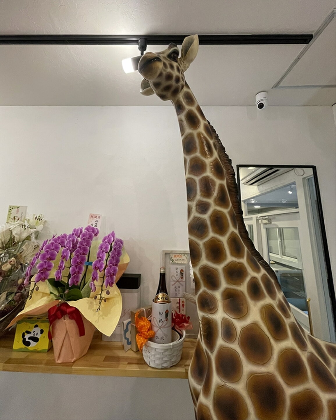 楽天市場 | FRP造形物オブジェ専門店CARUNA - 設置事例：福岡市 立ち 