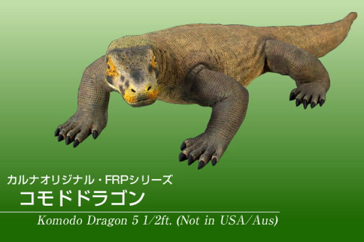 楽天市場 Frpアニマルオブジェ コモドドラゴン 即納可 置物 動物 コモドオオトカゲ 爬虫類 動物園 店舗 カフェ 喫茶店 レストラン 飲食店 インテリア イベント ディスプレイ 実物大 等身大 リアル 等身大フィギュア Whlny 通販ショップcaruna