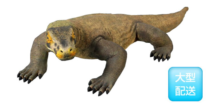 楽天市場 Frpアニマルオブジェ コモドドラゴン 即納可 置物 動物 コモドオオトカゲ 爬虫類 動物園 店舗 カフェ 喫茶店 レストラン 飲食店 インテリア イベント ディスプレイ 実物大 等身大 リアル 等身大フィギュア Whlny 通販ショップcaruna