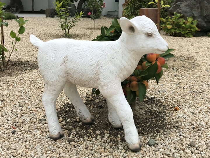 楽天市場】FRPアニマルオブジェ ヤギの赤ん坊【即納可】置物 動物 山羊 