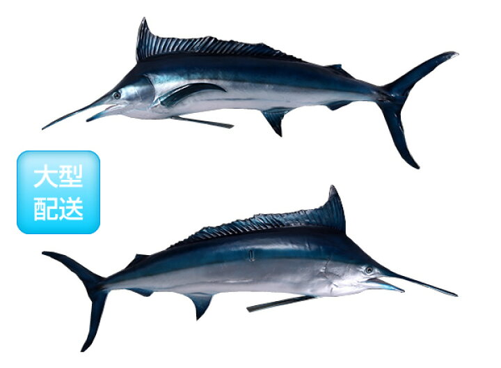 楽天市場】FRPアニマルオブジェ ブルーマーリン【即納可】置物 動物 魚 