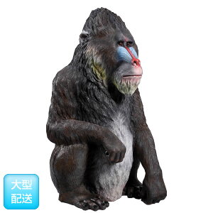 楽天市場 Frpアニマルオブジェ マンドリル 即納可 置物 動物 猿 サル さる 動物園 店舗 カフェ 喫茶店 レストラン 飲食店 インテリア イベント ディスプレイ 実物大 等身大 リアル Whlny 通販ショップcaruna