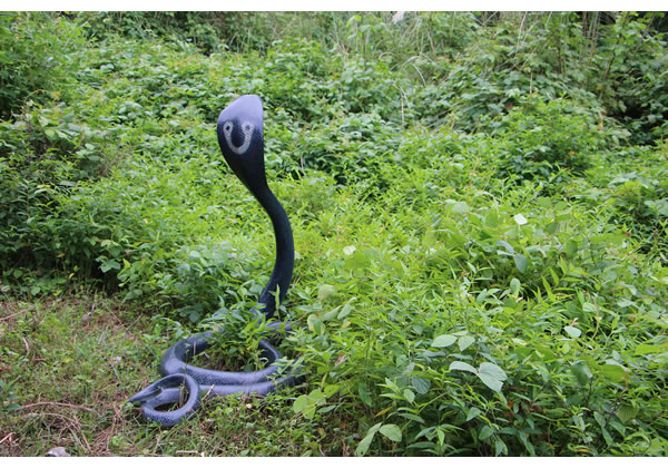楽天市場】FRPアニマルオブジェ コブラ 置物 動物 爬虫類 蛇 ヘビ へび