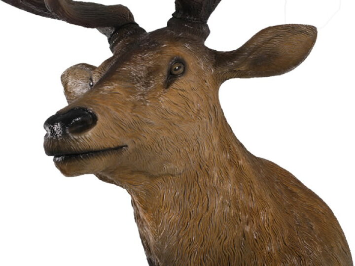 楽天市場 Frpアニマルオブジェ 牡鹿の頭部 置物 動物 シカ しか 剥製 動物園 店舗 カフェ 喫茶店 レストラン 飲食店 インテリア イベント ディスプレイ 実物大 等身大 リアル Whlny 通販ショップcaruna