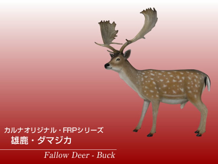 楽天市場 Frpアニマルオブジェ 雄鹿 ダマジカ 置物 動物 シカ しか 動物園 店舗 カフェ 喫茶店 レストラン 飲食店 インテリア イベント ディスプレイ 実物大 等身大 リアル Whlny 通販ショップcaruna