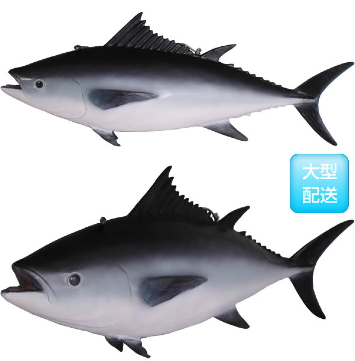 楽天市場】FRPアニマルオブジェ 本マグロ【即納可】置物 動物 魚 鮪 