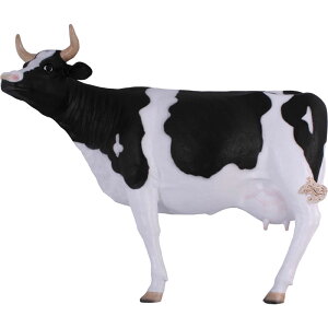 FRPAj}IuWF Ǌ|̋u  EV   X JtF iX Xg HX CeA Cxg fBXvC  g A gtBMA ywhlny