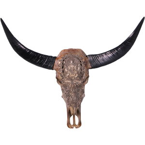 FRPAj}IuWF Ǌ|A[g̓E{[dグy[zu  EV    X JtF iX Xg HX CeA Cxg fBXvC  g