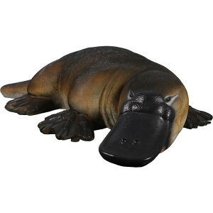 FRPAj}IuWF 傫ȃJmnVu  ̂͂  X JtF iX Xg HX CeA Cxg fBXvC  g A gtBMA ywhlny