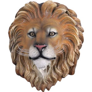 FRPAj}IuWF CILO̓EǊ|u  炢   X JtF iX Xg HX CeA Cxg fBXvC  g A g