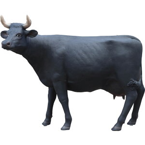 FRPAj}IuWF ̓y[zu  EV   X JtF iX Xg HX CeA Cxg fBXvC  g A gtBMA 