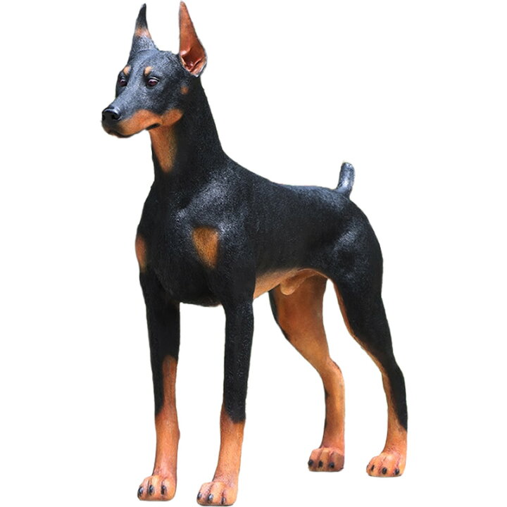 楽天市場】FRPアニマルオブジェ ドーベルマン置物 動物 犬 イヌ いぬ 