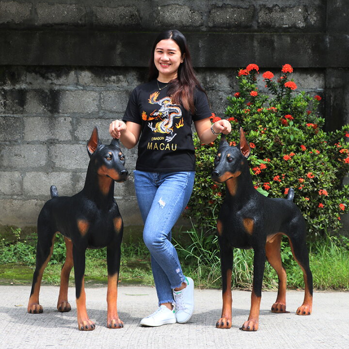 楽天市場】FRPアニマルオブジェ ドーベルマン置物 動物 犬 イヌ いぬ 
