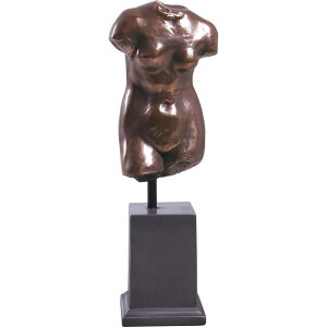 FRPIuWF Female TorsoIuWFitju  g\[ X Cxg fBXvC  g A gtBMA ywhlnyz