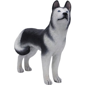 FRPAj}IuWF nXL[u   Ck   X JtF iX Xg HX CeA Cxg fBXvC  g A ywhlnyz