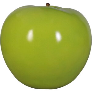 FRPIuWF 40cm/Ԃ40cmy[zu ʕ t[c ь S X Cxg fBXvC  g A gtBMA ywhlnyz