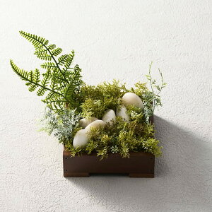 y|PuV[YvΒ̐X@ u CeA fBXvC A ywhlnyz