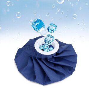 ACXobO STCY 15cm XX Ђ傤̂ X p ۗ ACXobO N[_E X|[c ₷ M ΍ dar-icebag