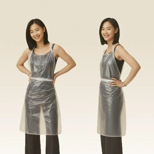 ĝ Gv lp 100Zbg   |  h PE  q ĝăGv h~