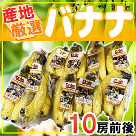 【送料無料】産地厳選　バナナ　10袋