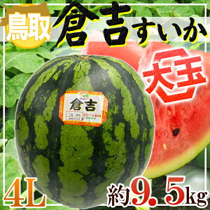 【送料無料】鳥取県産　倉吉すいか　1玉　4L　約9.5キロ