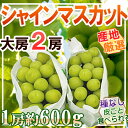 産地厳選　シャインマスカット　2房　1房約600g