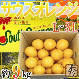 鹿児島県産　サウスオレンジ　秀品L〜3L　約9キロ
