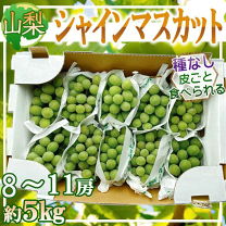 楽天市場】シャインマスカット 5kgの通販