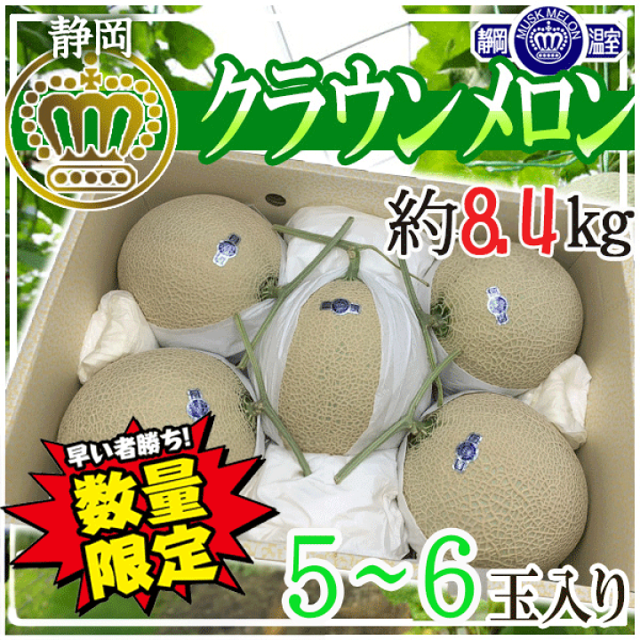 早い者勝ち！静岡県産アールスメロン9キロ6玉 【公式通販】