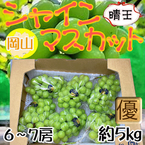 yzRY@@6`7[@5L@Di@N[֔