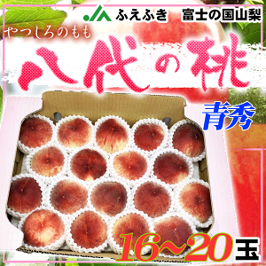 RY@̓@16`20ʁ@5L@G@N[֔