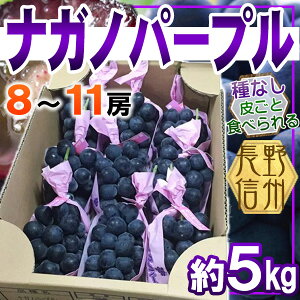 쌧Y@iKmp[v@8`11[@5L@N[֔@