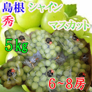 Y@VC}XJbg@6`8[@5kg@Gi@N[֔