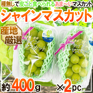 YnI@VC}XJbg@2pbN@1pbN400O@N[֔