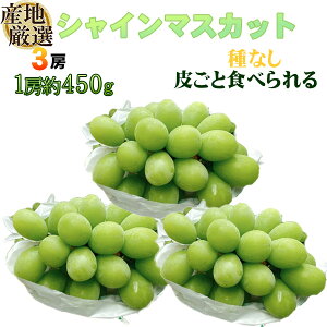 YnI@VC}XJbg@450g×3[