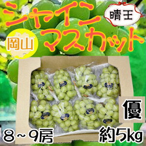 yzRY@@8`9[@5L@Di@N[֔