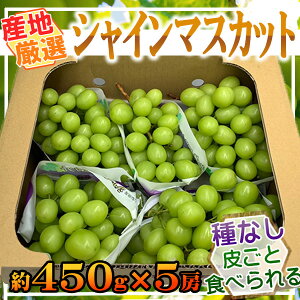 YnI@VC}XJbg@450g×5[@N[֔