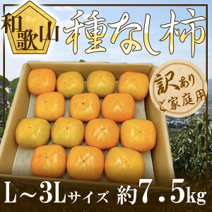 a̎RY@Ȃ`@L`3L@7.5L@󂠂育ƒp