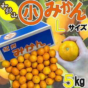 a̎RY@Z݂@LTCY@5L@TCYws