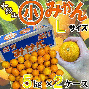 a̎RY@Z݂@LTCY@5L×2P[X@TCYws