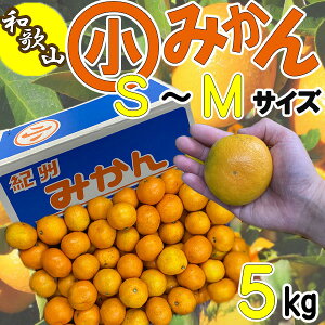 a̎RY@Z݂@S~MTCY@5L@TCYws