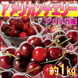 アメリカ産　アメリカンチェリー　約1kg