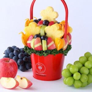 yXlCNo. 1z t[cu[P `A[ MTCY ʕMtg a LO hV̓ P[L oXPbg TvCY v[g j 킢  ʐ^f CX^f 蕨 