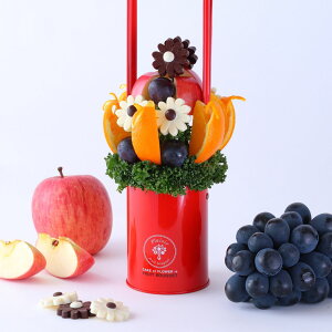 yaLÔjɁz fCW[ t[cu[P ʕ 荇킹 P[L hV̓ a LO t[coXPbg TvCY 蕨 j j v[g TvCY 䌩