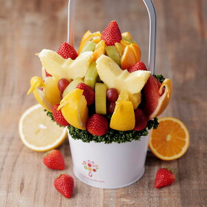 yt[cXőzt[cu[P J[jo MTCY t[cMtg ʕMtg a LO hV̓ j 킢  ؂₩ TvCY v[g ʐ^f CX^f