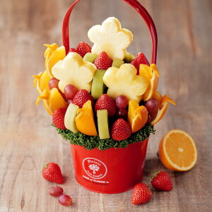 yXlCNo. 1z t[cu[P `A[ MTCY ʕMtg a LO hV̓ P[L oXPbg TvCY v[g j 킢  ʐ^f CX^f 蕨 