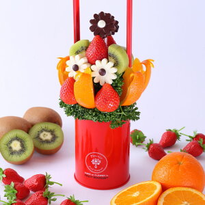 yaLÔjɁz fCW[ t[cu[P ʕ 荇킹 P[L hV̓ a LO t[coXPbg TvCY 蕨 j j v[g TvCY 䌩