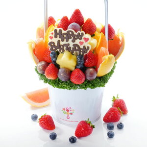 yaTvCYɁzt[cu[P nbs[fC MTCY a o[Xf[ t[coXPbg v[g P[L ʕMtg ؂₩ TvCY 蕨 Jbgt[c荇킹 